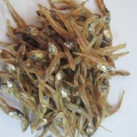 Dried Anchovies/Dried Fish With Best