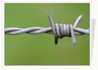Sell barbed iron wire
