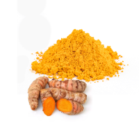 Turmeric powder Plant Extract for Healthcare Supplement