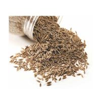 Wholesale cumin seeds