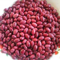 Red kidney beans