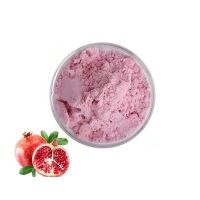 100% Natural Organic Fruit Powder Pomegranate Fruit