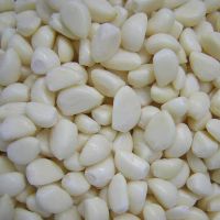 Wholesale peeled garlic