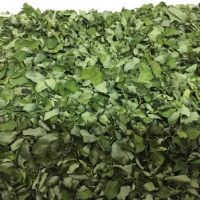 Moringa Leaves /Seeds