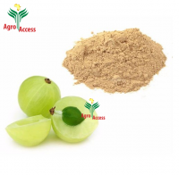 Amla Juice Powder