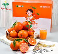 Fresh Blood Oranges Red Citrus Fruits Natural Sweet Taste Farm Fresh Mandarin Orange