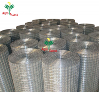 factory high quality Hot Dipped Galvanized Welded Wire Mesh square Wire Mesh fence roll