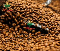 Arabica Coffee Beans