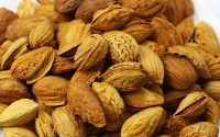Almond Nuts Almond Almond Nuts Wholesale Price Almond Nuts For Sale