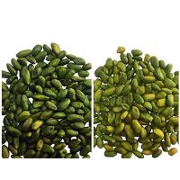 Premium green peeled pistachio kernels wholesale bulk nuts dried