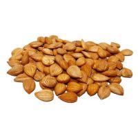 Wholesale factory 2022 hot selling top quality cheaper price sweet apricot kernels
