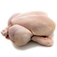 Wholesale Prices Whole Frozen Halal Chicken