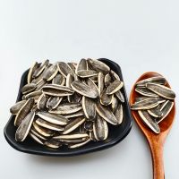 Natural Raw Black Large Size Sunflower Seeds 601 Sunflower Seed Wholesale Price