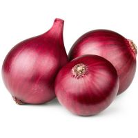 Exporter and Manufacturer of Red Onion Seeds For Export at Affordable Price