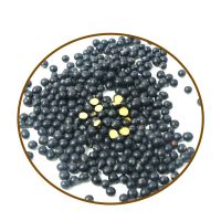Wholesale Large Number High Quality Organic Black Beans Black Kidney Beans