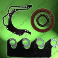 Sell intake and exhause gasket +oil seal