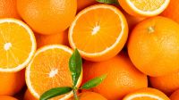 Quality Sale Navel Orange Sweet & Juicy Honey Oranges Fresh Oranges