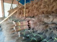 COCONUT BROOM STICK BEST PRICE - RAW MATERIAL TO MAKE BROOM