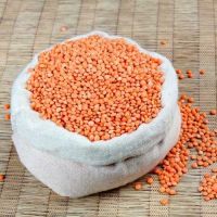 Quality Green Lentils, Crimson Lentils for Sale, Red Lentils Price with 2 Years Shelf Life 25/50 KG PP Bag Red Spilt Football