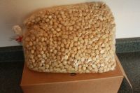 Nuts Macadamia Dried Nuts Factory Price Macadamia Nuts in Shell