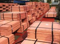 Electrolytic Copper Cathodes 99.995%