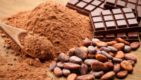 Cocoa Been Powder at Premium quality Wholesale.