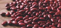 Red Kidney Beans