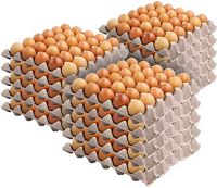 FRESH TABLE EGGS FOR SALE