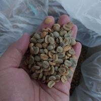 Arabica Specialty Beans or below