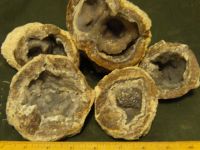 Sell Dugway Geodes