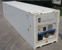 40 Foot Refrigerated Container New