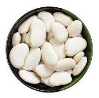 Large Lima Beans