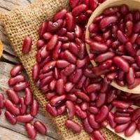 Red Kidney Beans