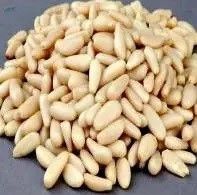Pine Nuts And  Sell