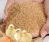 Poultry broiler chicken feed