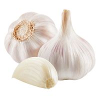 fresh black garlic for sale