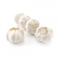 fresh garlic braids for sale