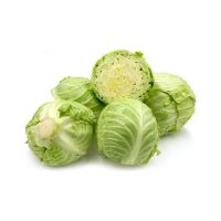 green cabbage for sell