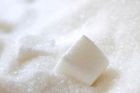 white sugar price