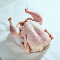 fresh chicken wholesale