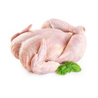 chicken wholesale price