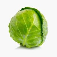 fresh cabbage for sale