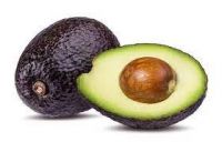 avocado grafts for sale