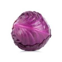 red cabbage sprouting seeds for sale