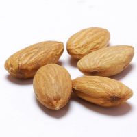 almond nuts for sale xl