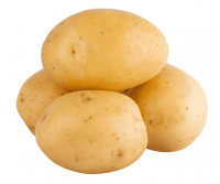 Fresh Potatoes/ Wash Potatoes