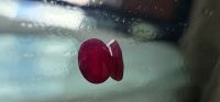 Natural Mozambique Ruby unheated