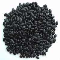black kidney  beans
