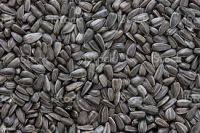 Best Price Tanzania Use Of Original Taste Sunflower Seeds