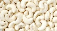 Whole Cashew Nut Kernel: WW240; WW320; and WW450  SW240; SW320; and SW450